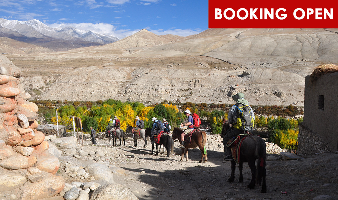 UPPER MUSTANG TREK